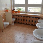 phoca_thumb_m_zajci 13 Fotogalerie